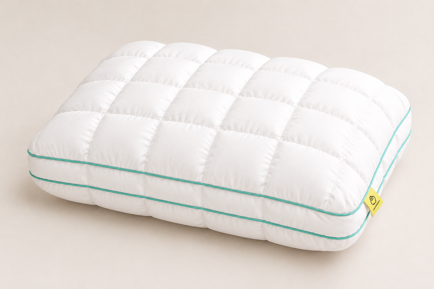 DreamLoft Cloud Pillow